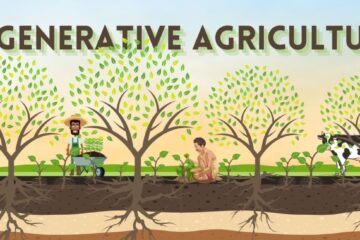 Regenerativ-mezogazdasag