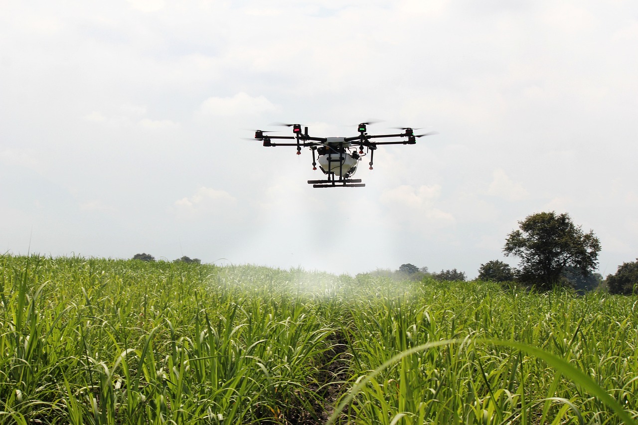 spraying-sugar-cane-2746350_1280 spraying-sugar-cane-2746350_1280